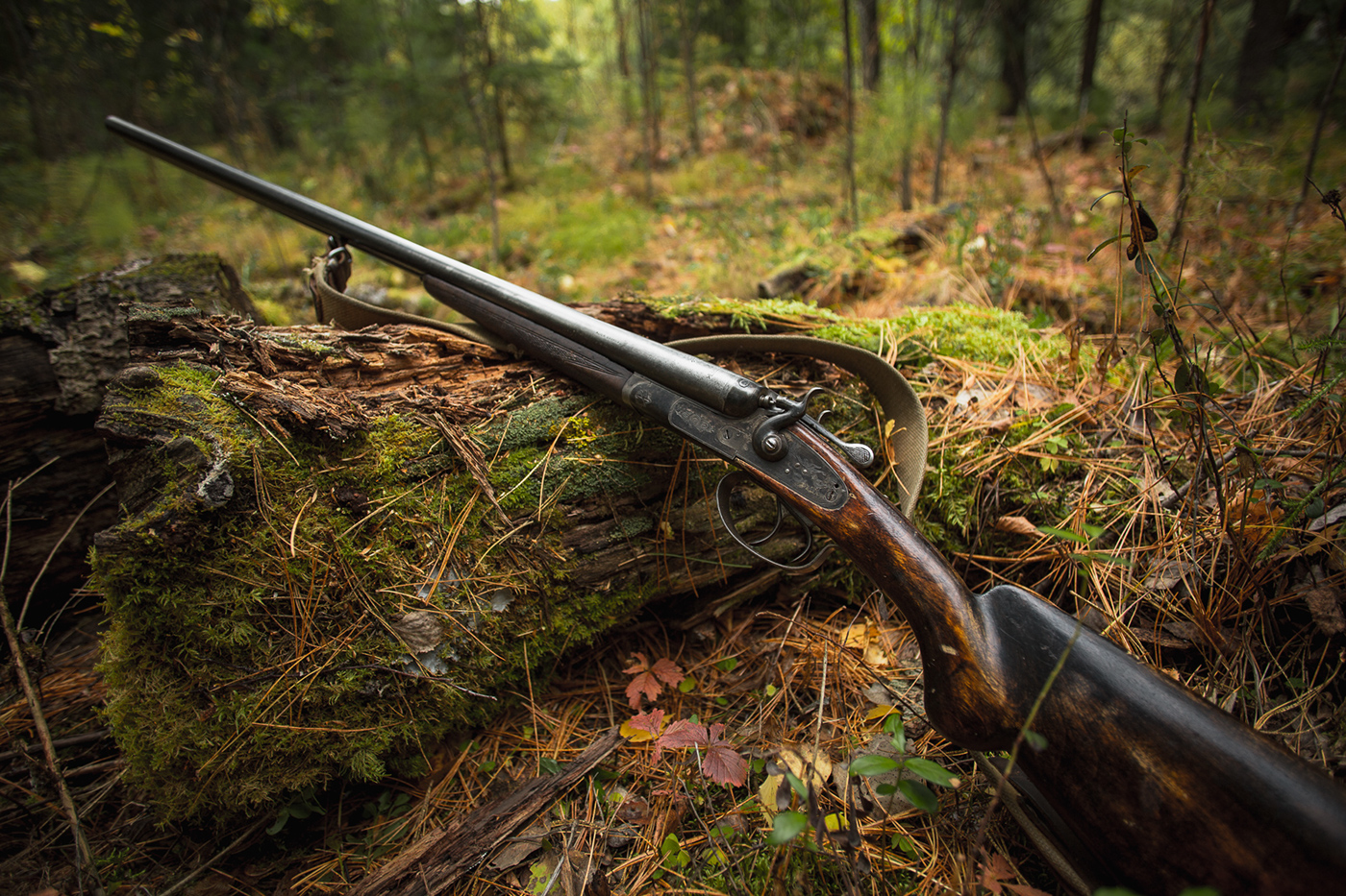 hunter Gun taiga Russia forest God Hunt green