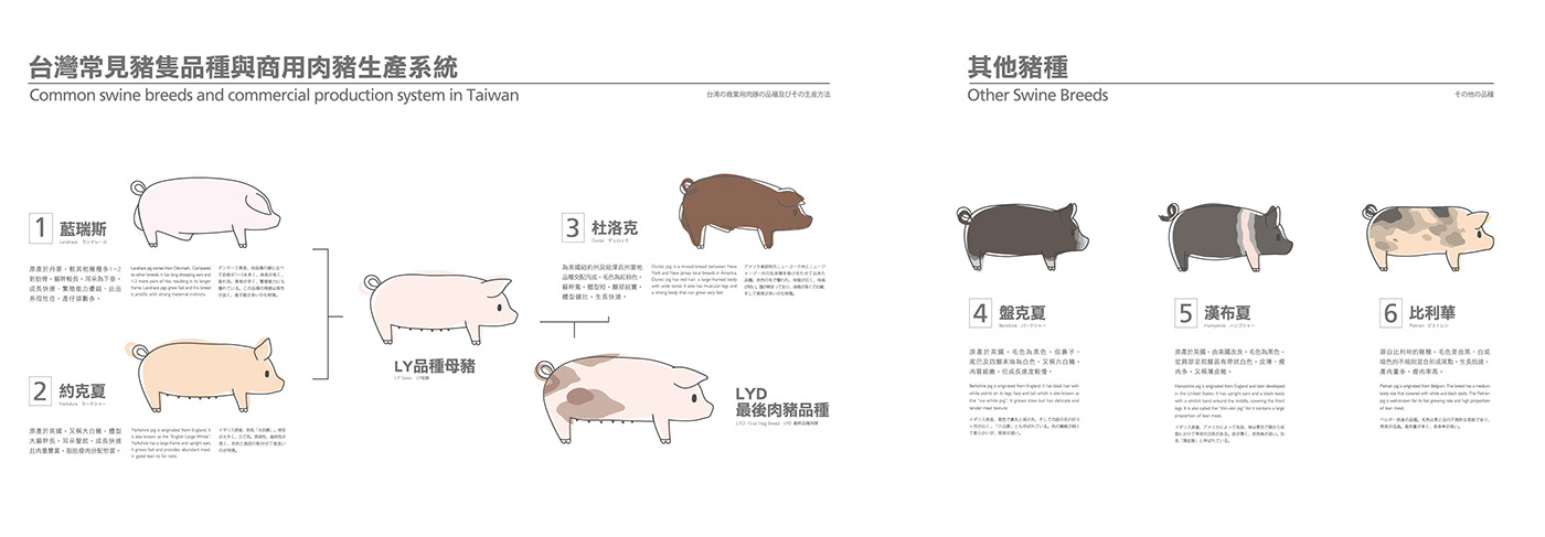 Nextland taiwan Exhibition  agriculture pig pork YUNLIN