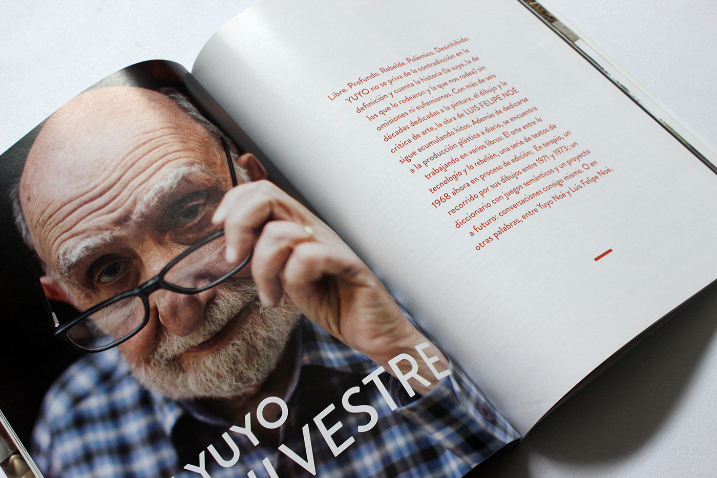 diseño arquitectura revista interiores tapa editorial design  graphic design  magazine
