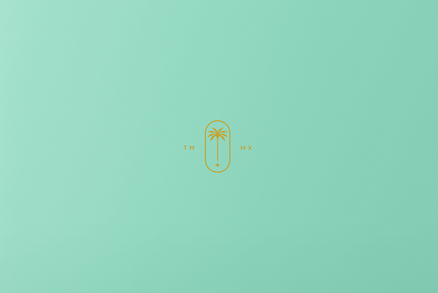 branding  Logotype logo naming beach hotel Collateral tulum Tropical concept