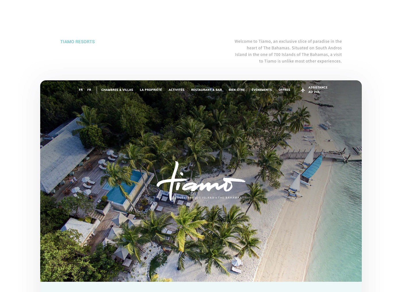Bahamas beach hotel ui design UX design Web Design  web development  Webflow