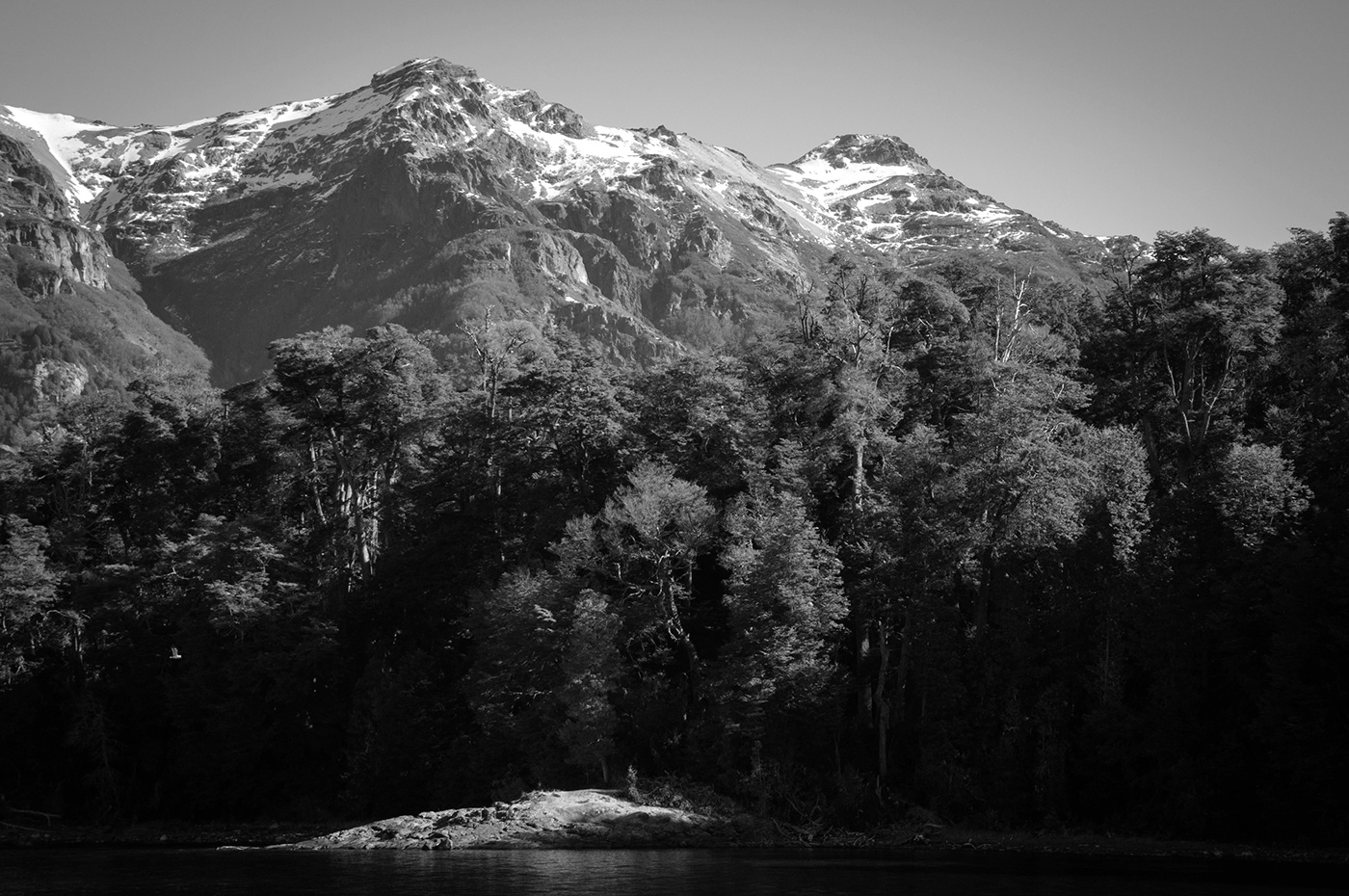 argentina bariloche blanco y negro forest Fotograía Landscape Nature paisaje photographer Photography 