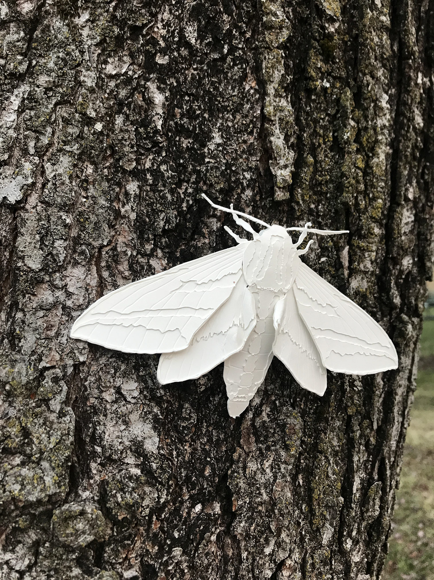 moth papercraft watercolor cricut