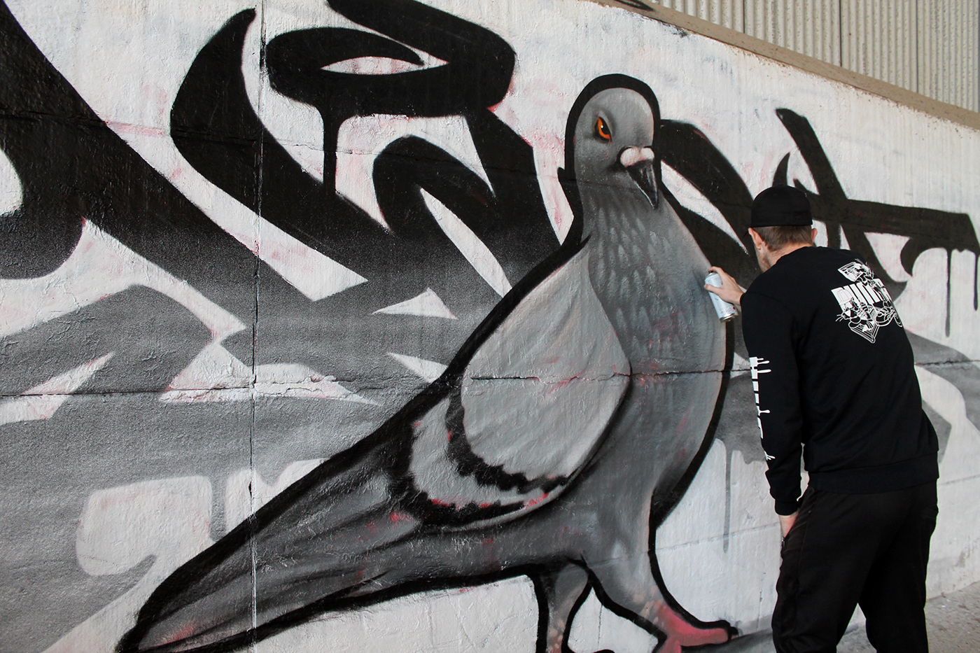 animal graff Graffiti ILLUSTRATION  letters pigeon Street Art  Style type typography  