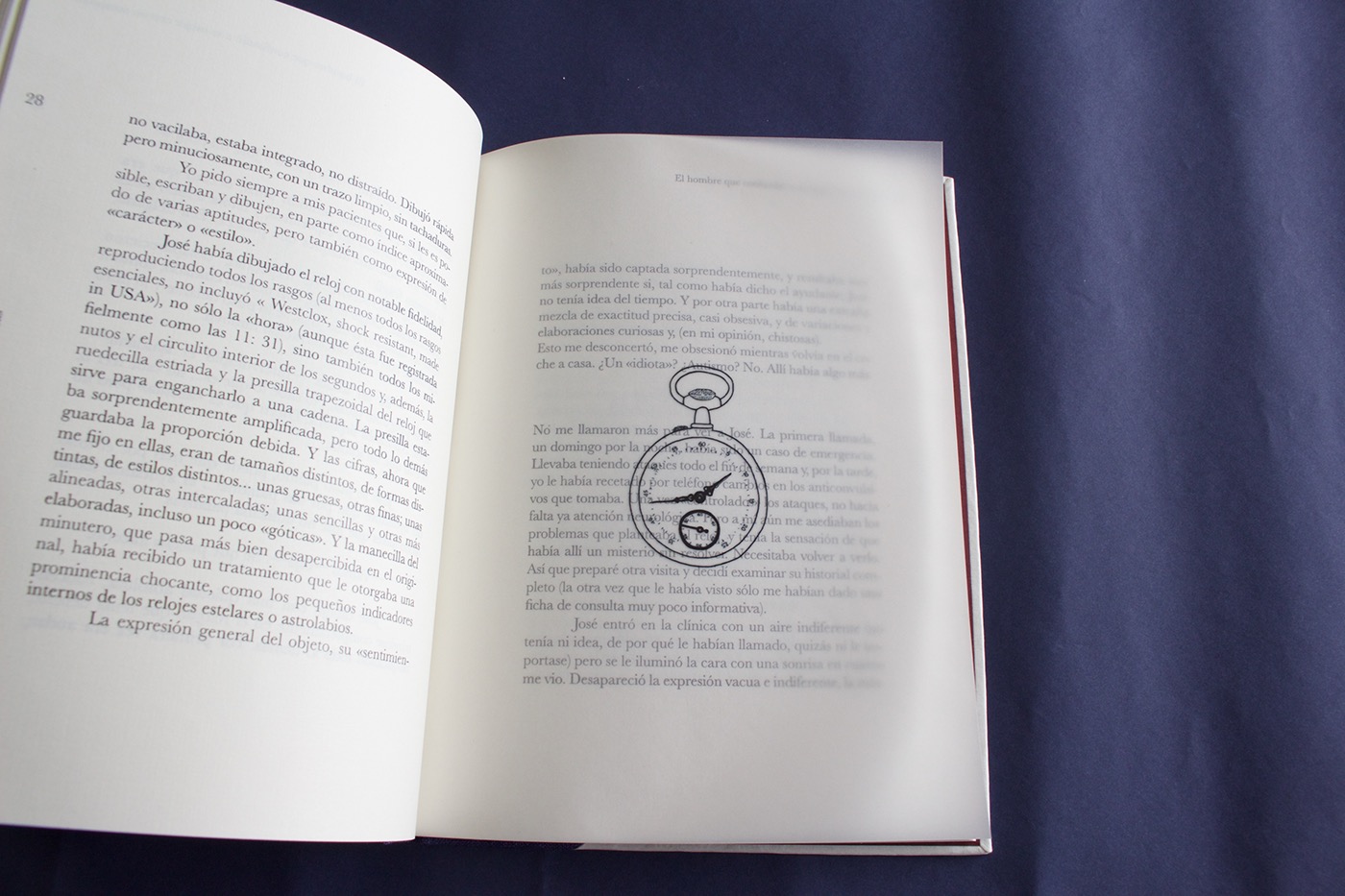 book handmade illustrations conceptualización