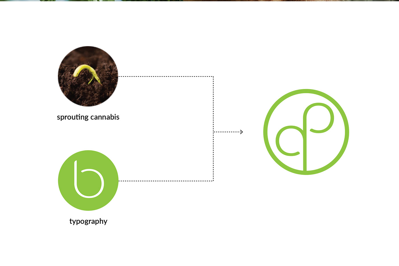 brand Brand Design brand identity branding  cannabis CBD logo Logo Design stationary visual identity