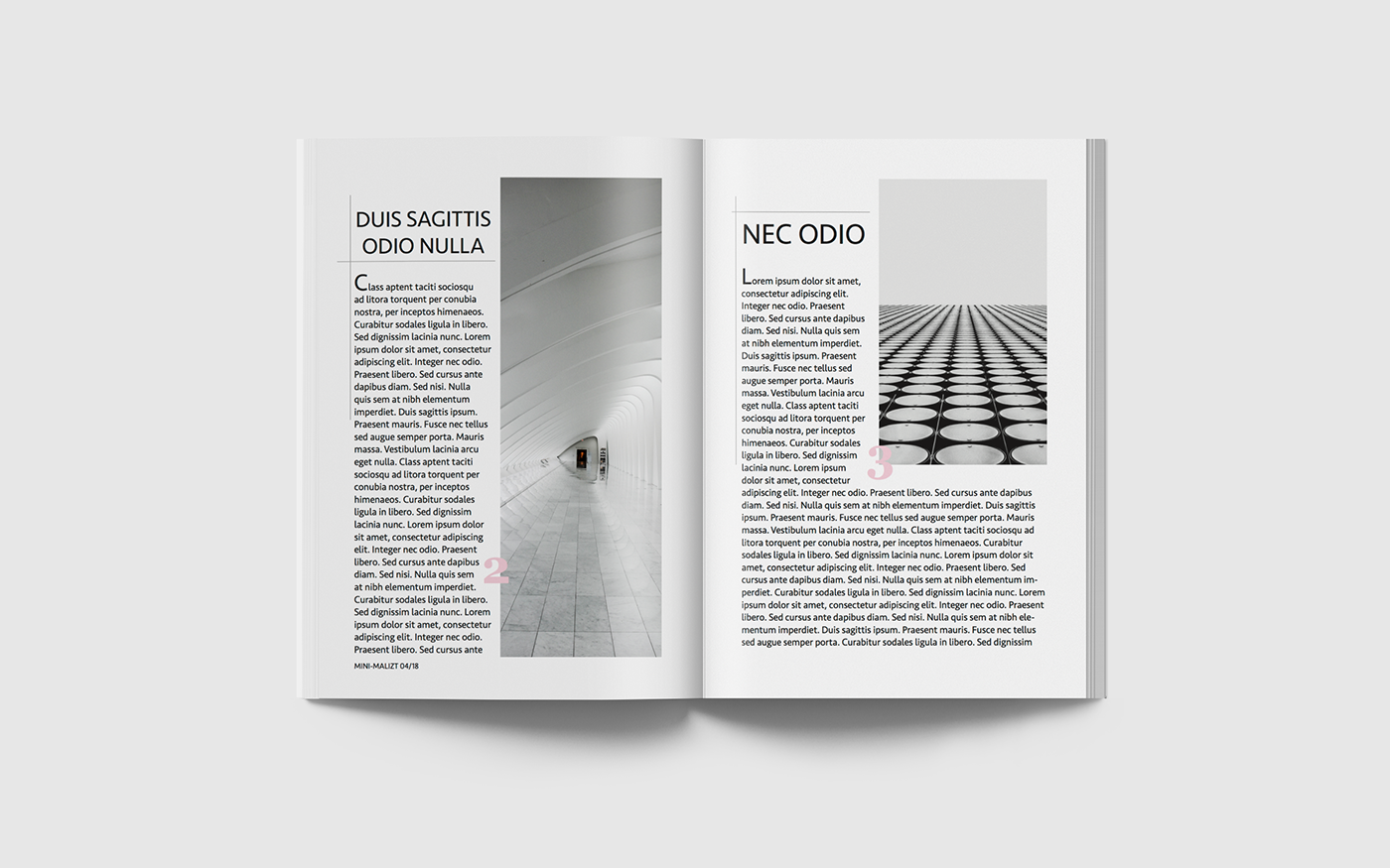 editoring editorial InDesign magazine online magazine print brochure simple magazine downloadable freebie