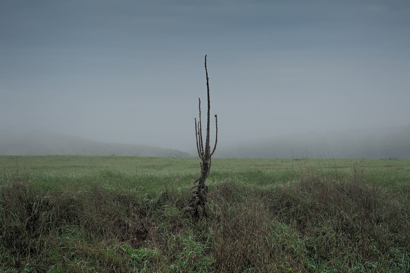 Landscape Minimalism Photography  simplicity art minimal Moody Nature moodboard