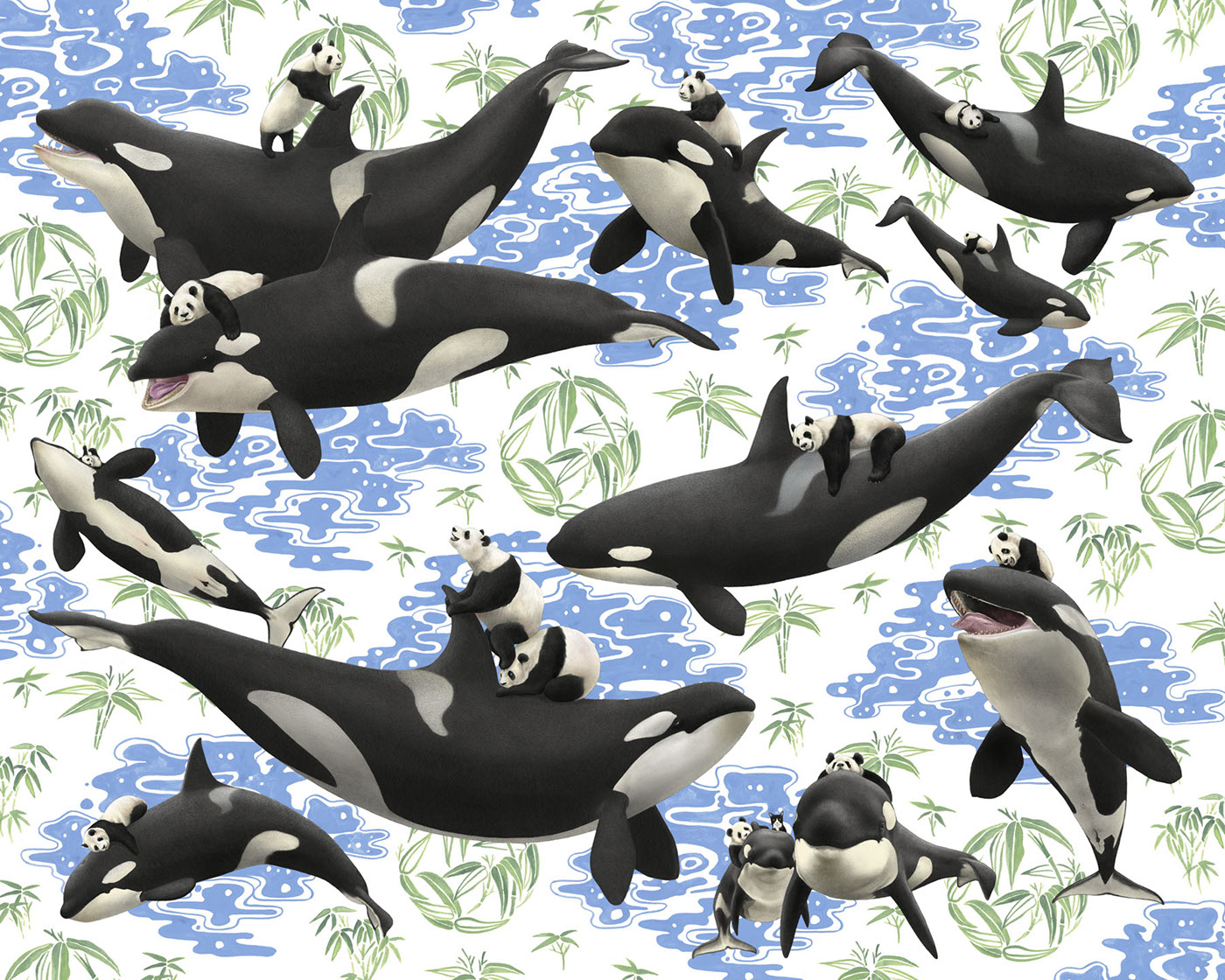 killer whale ocra Panda  panda bear kozyndan Nature wildlife humor