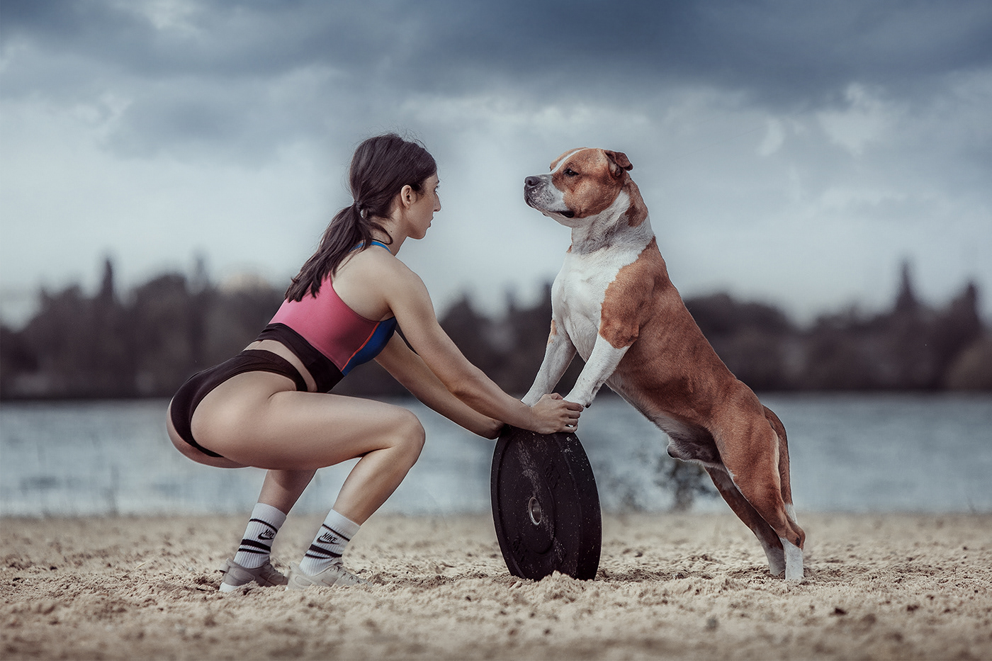 action athlet Crossfit dog gym run sport