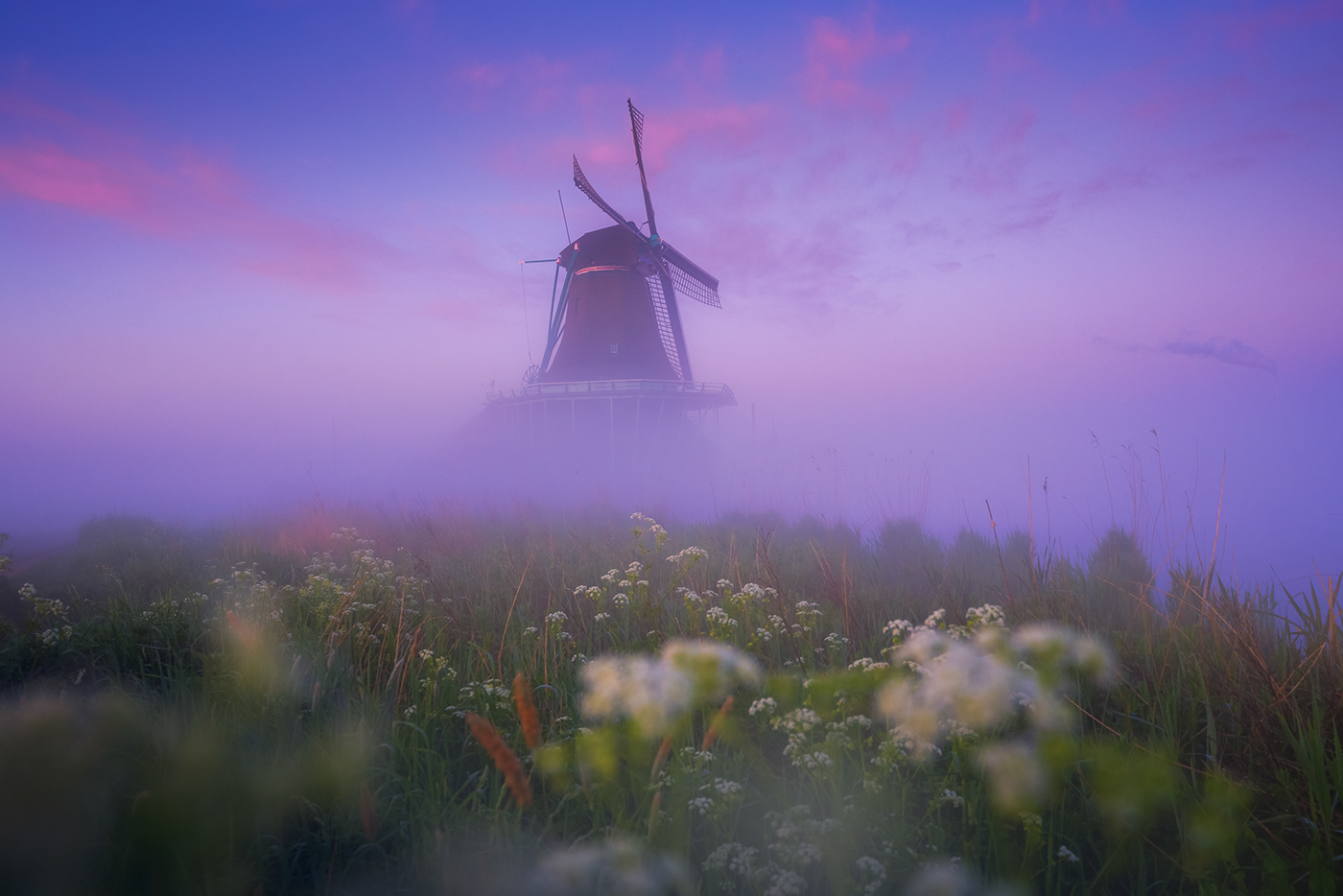 dutch windmill zaanse schans amsterdam The Netherlands fog