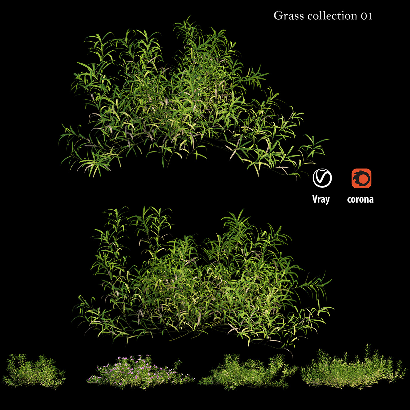 3dsmax bush doannguyen Grass collection 01 Nature plants Tree 