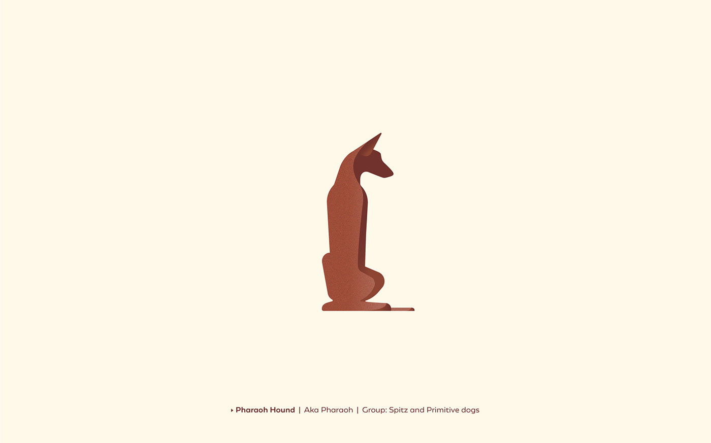 Collection dachshund dog greyhound logofolio pets ILLUSTRATION  logo puppy