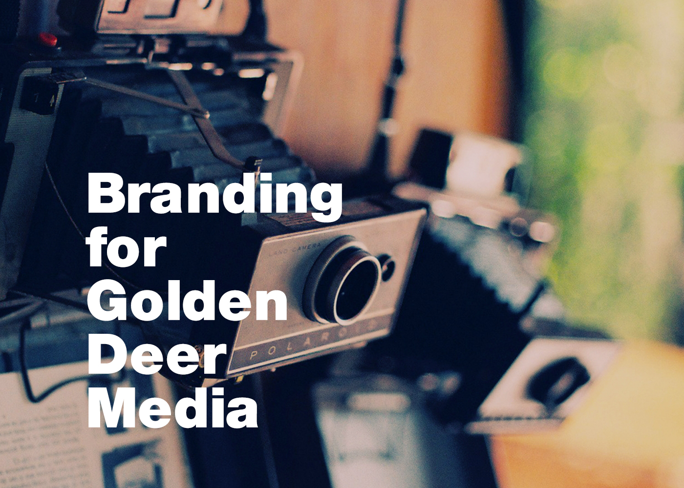 logo Web identity photo video record deer studio design