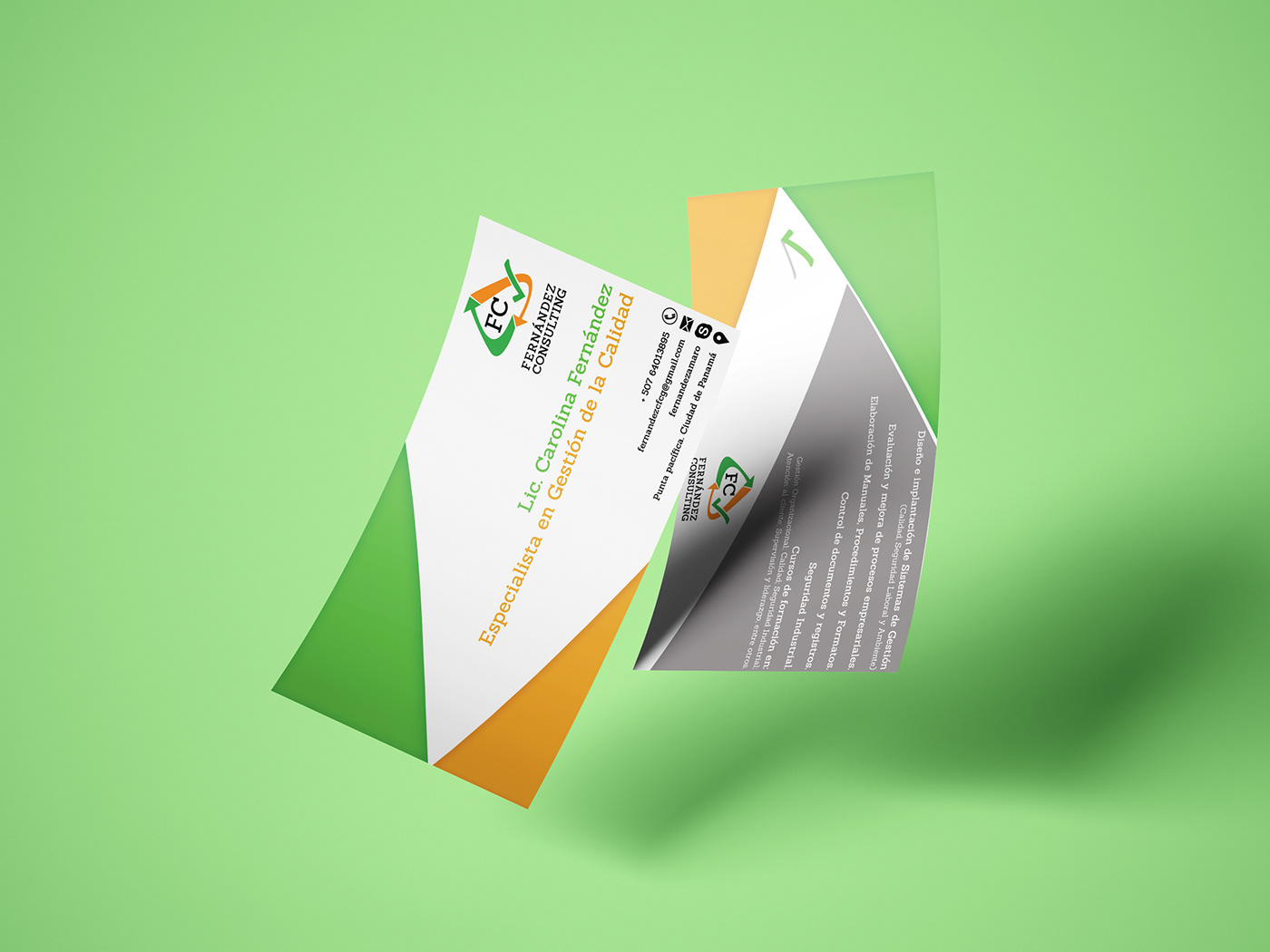 Consulting brand Logotipo logo panama business card businesscard Advertising  graphicdesign
