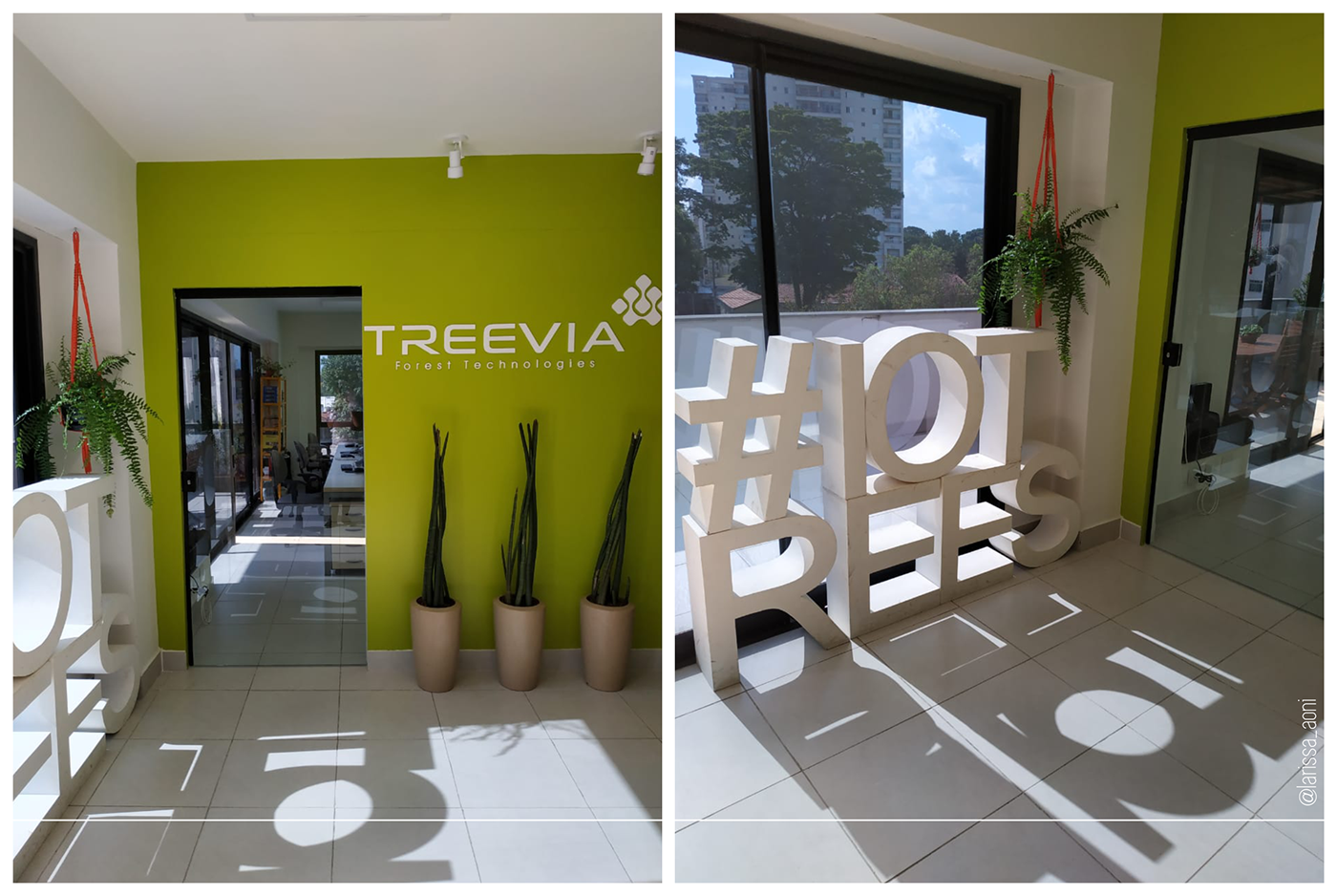 interior design architecture Project Management startup headquarter