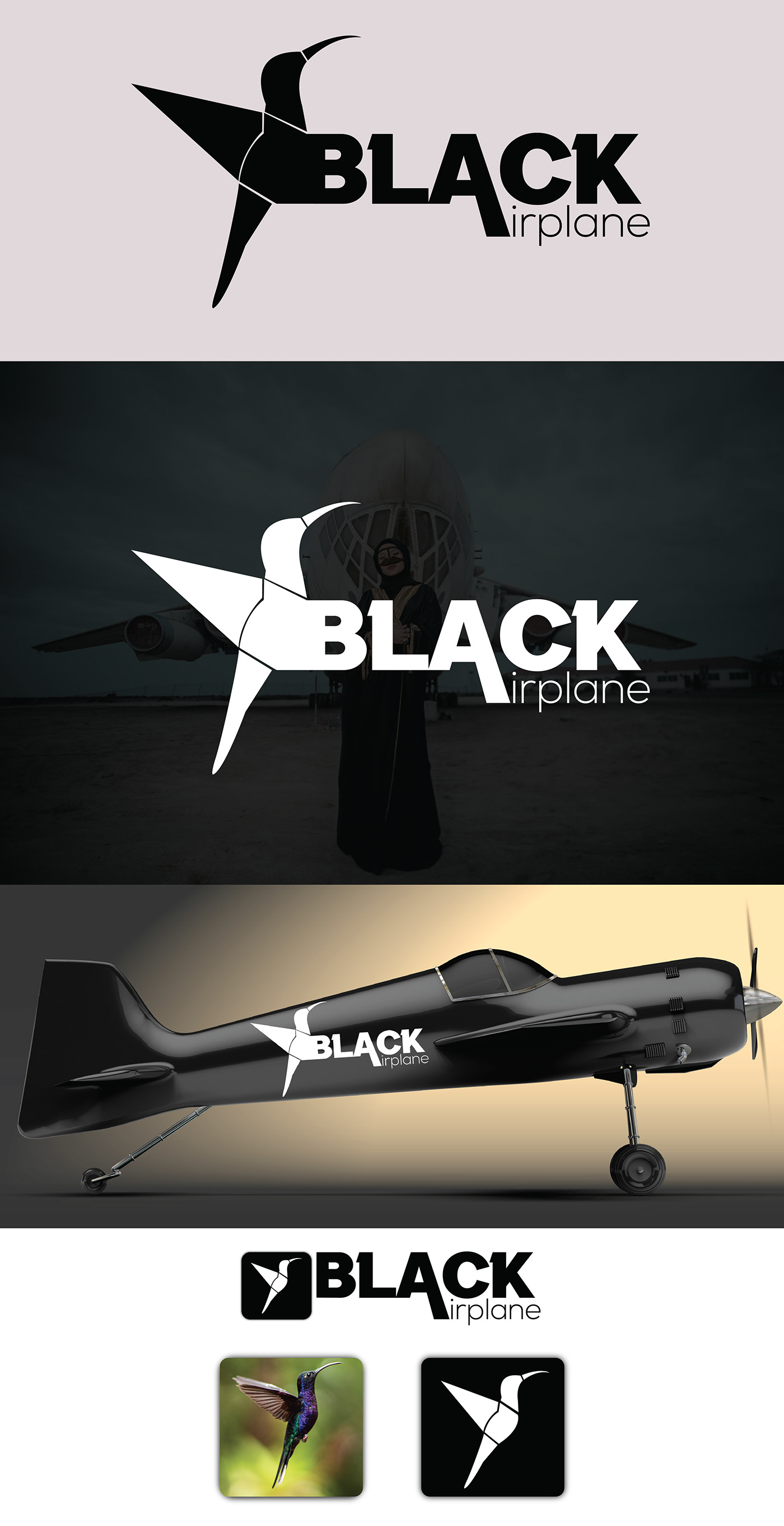 airplane black concept logo logo concept Logo Design
