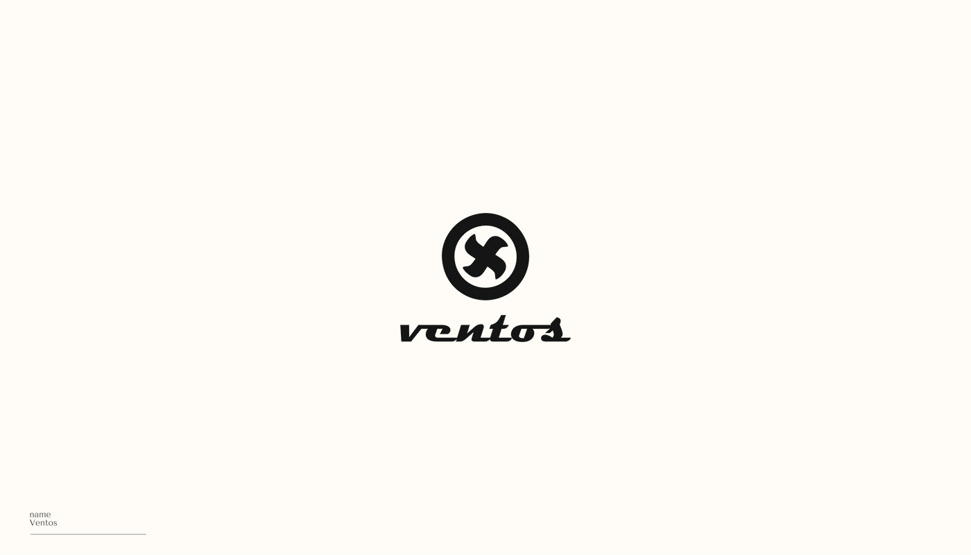 brand branding  identity illustrative logo logo Logo Design lotype typography  