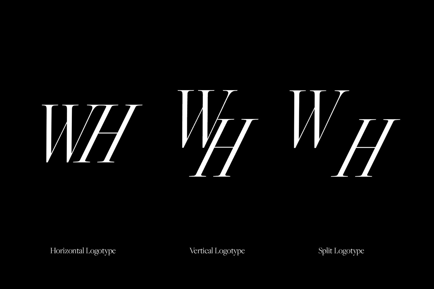 artist Brand Design brand identity branding  identity Logotype music whitney houston design system editorial design 