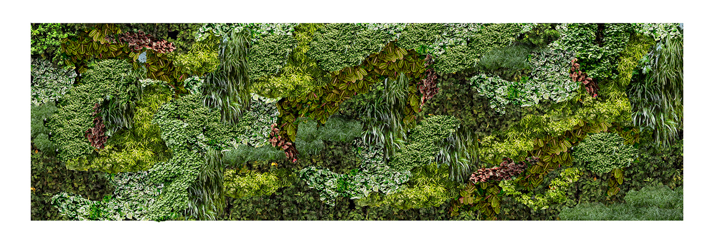 Indoor Greenery Photoshop Visualization plants plantwall vertical garden Biophilic Design biophilia greenwall verticalgarden