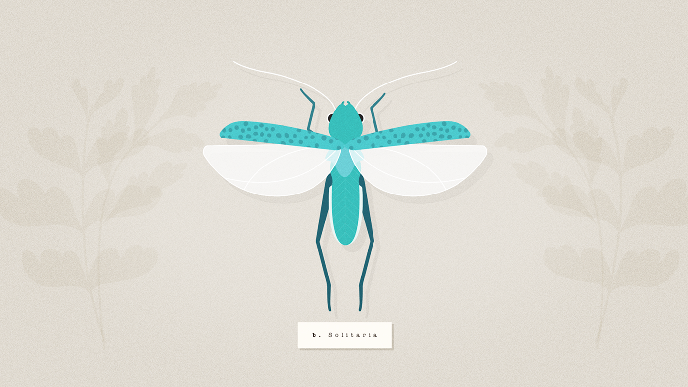 Grasshopper invisibilia locust self motiondesign NPR psychology podcast research
