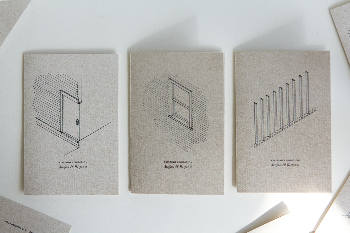 analytical illustratión book design pamphlet ILLUSTRATION  Drawing  architecture print design  graphic design  conservation