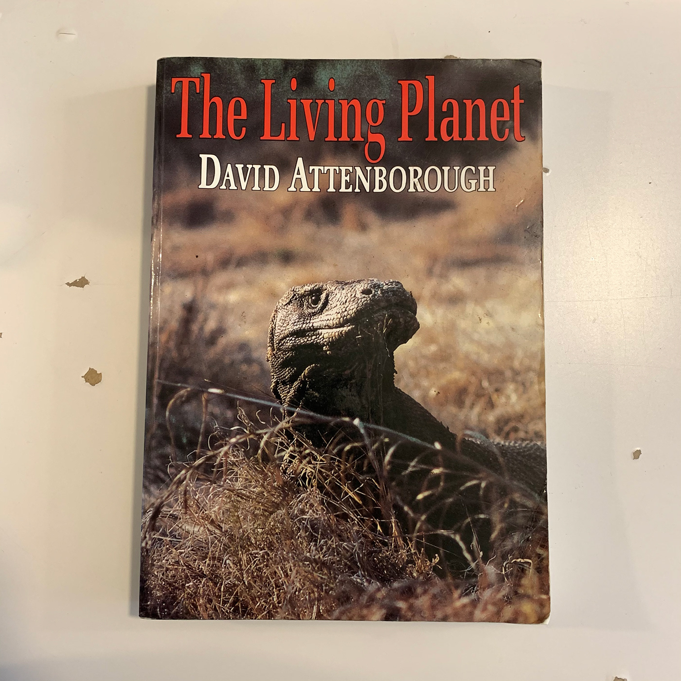 david attenborough editorial editorial new graphic design  scan The Living Planet typography  