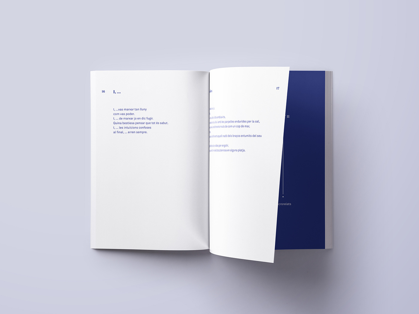 graphic design  art direction  editorial editorial design  book Diseño editorial libro diseño gráfico