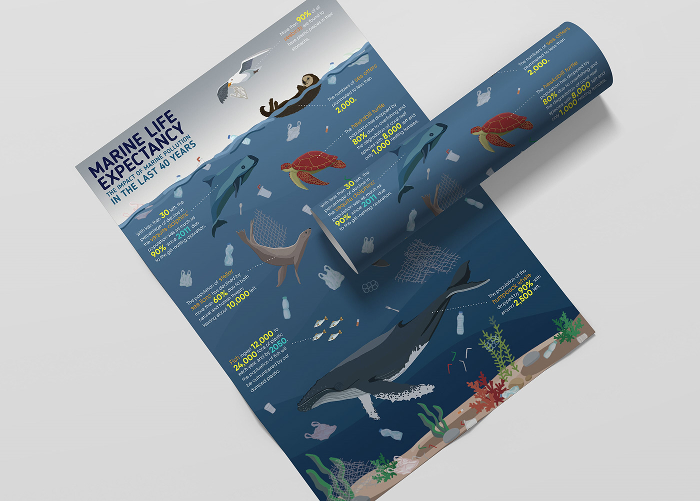 campaign environment ILLUSTRATION  infographic marineanimals marinelife Ocean plastic plasticpollution sea