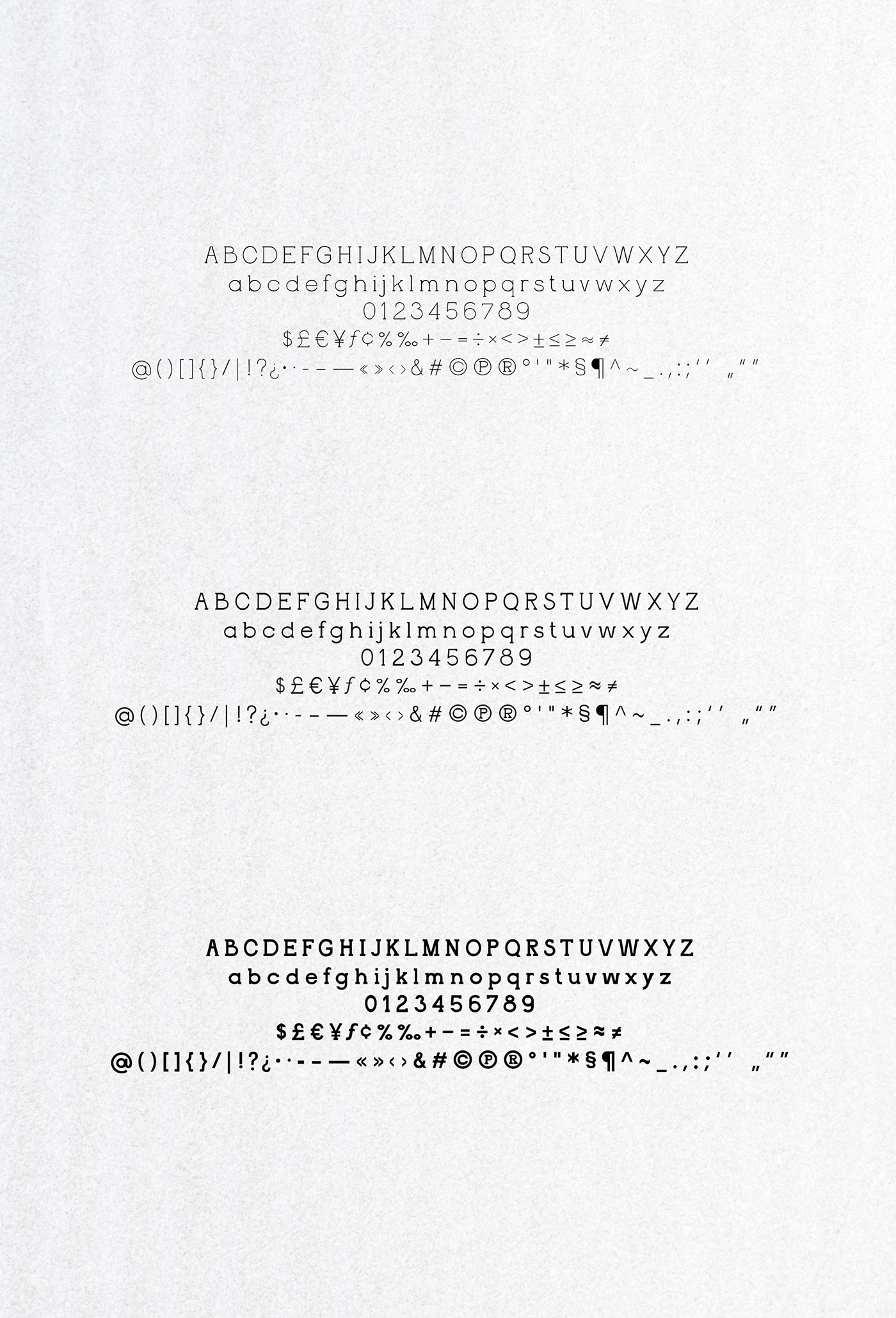 elegant font font design fonts lettering serif tipografia Typeface typography  