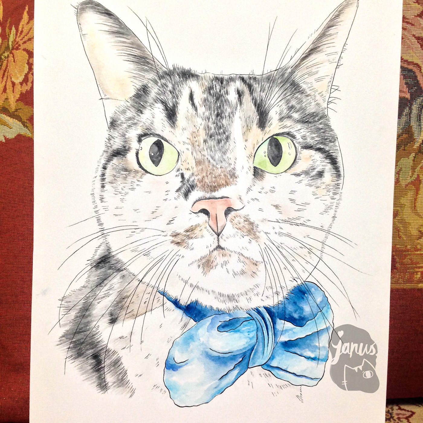 cats watercolour catart watercolor portraits Pet family Love januslee auckland