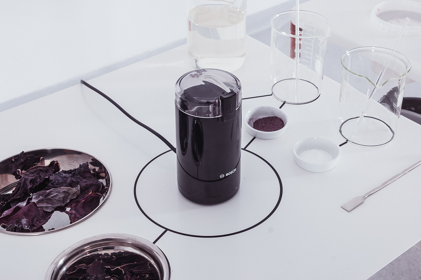 unique design art experiment installation pigment Narural animation  cabbage color Workshop