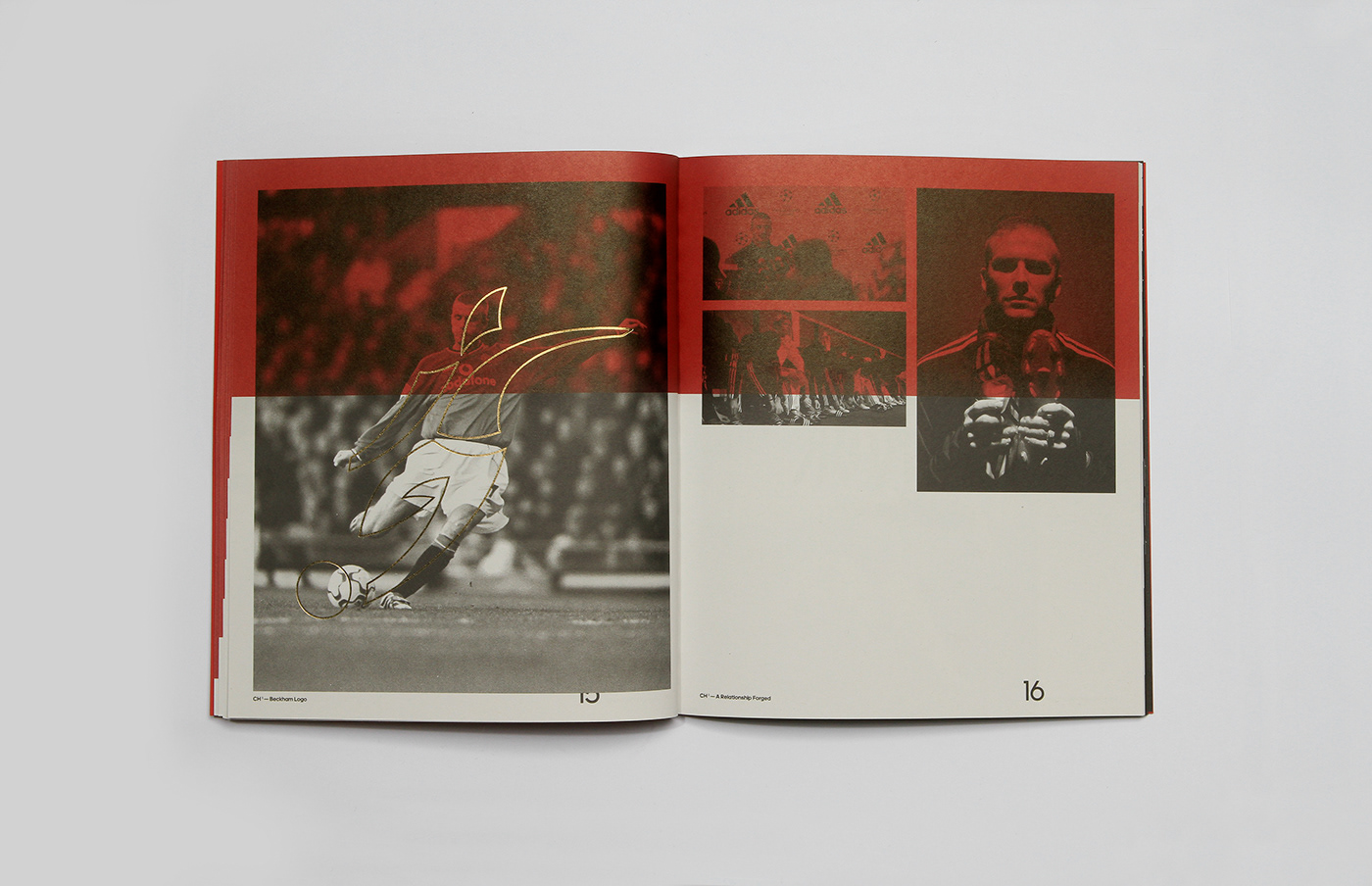 adidas design Photography  football soccer graphic design  book beckham predator copy