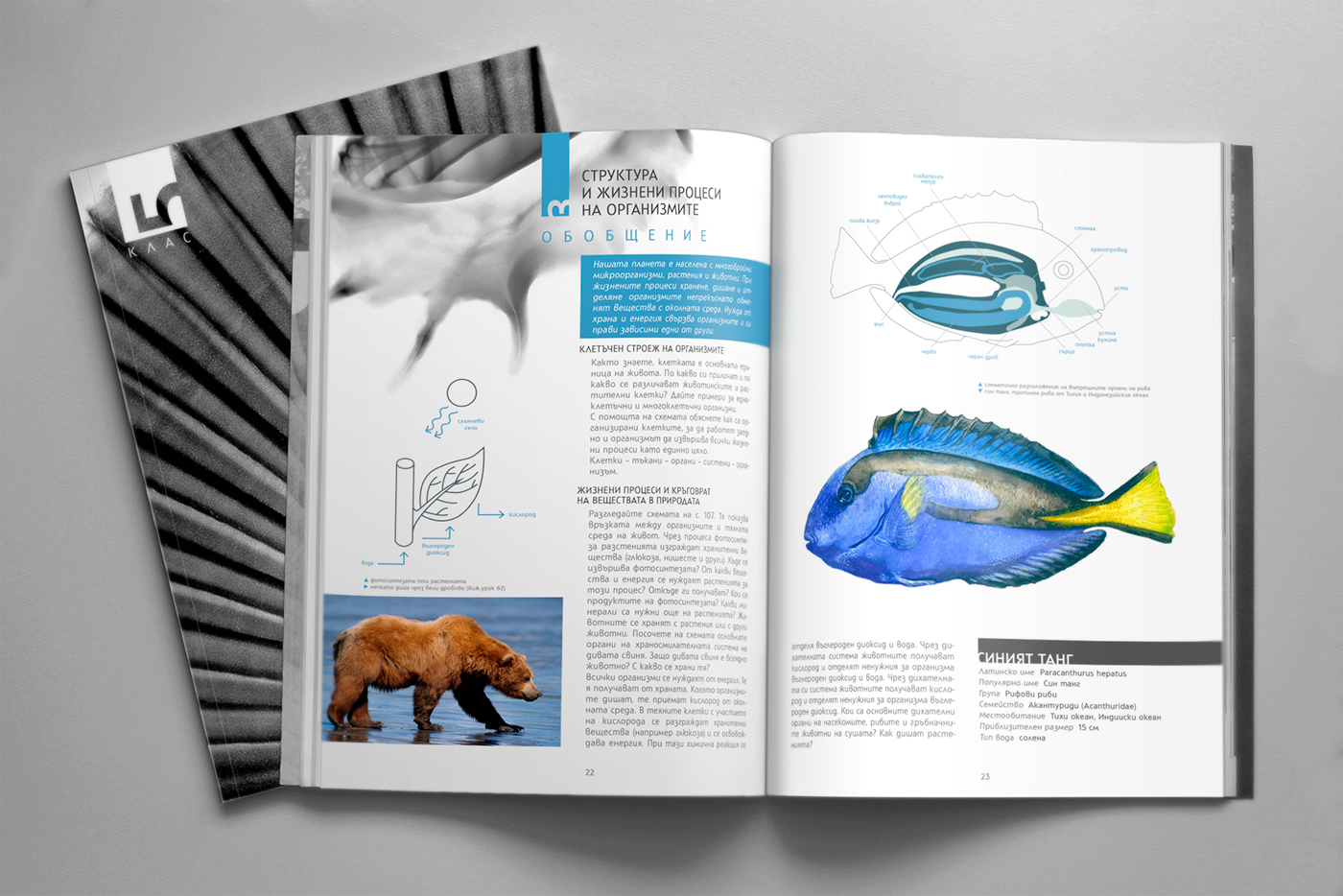 Nature ILLUSTRATION  Layout text book design typo typography   animals school biology