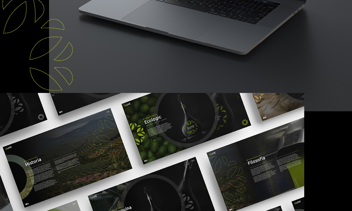 front-end frontend Olive Oil Responsive responsive website Web Web Design  webdesigner Website Website Design