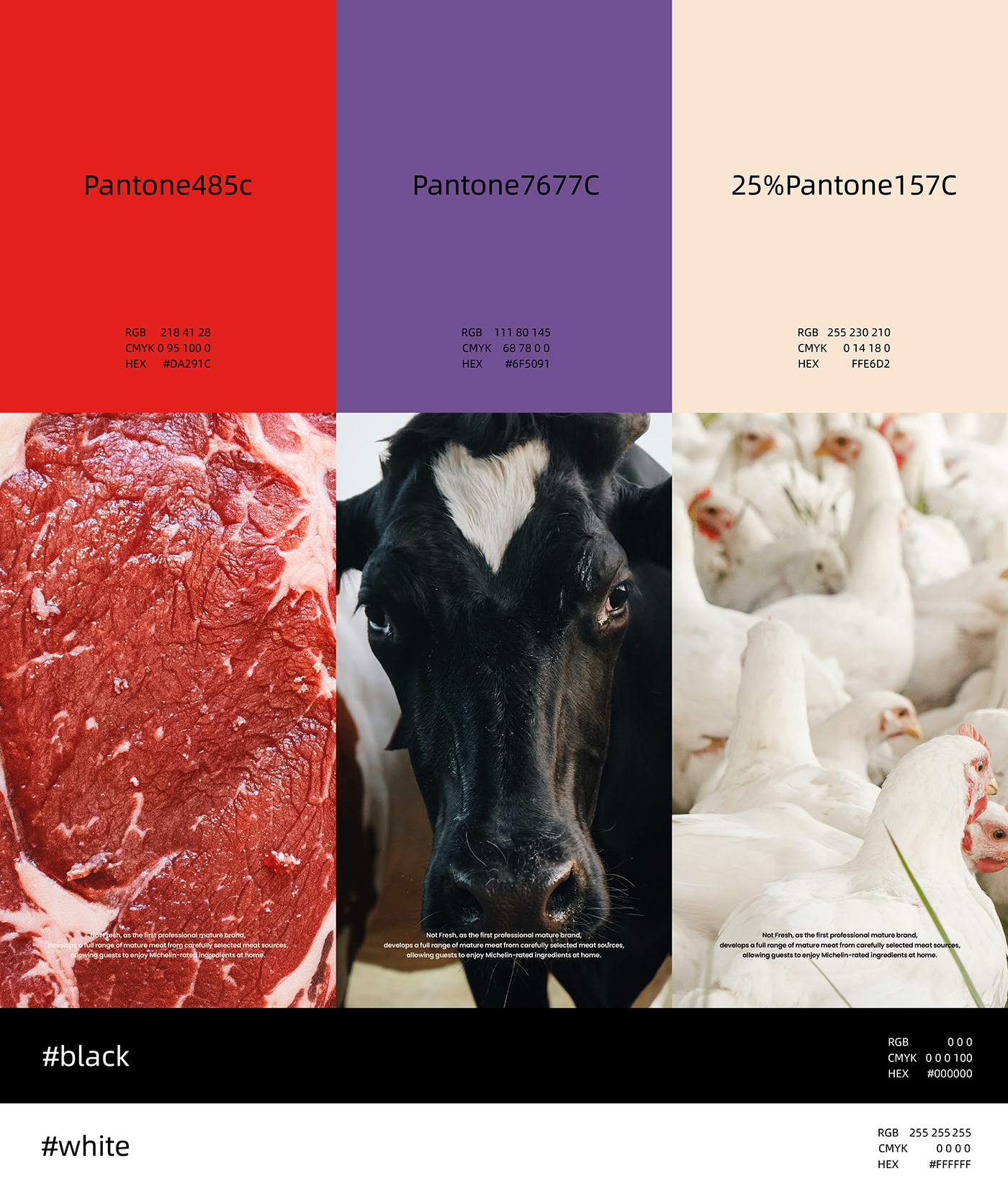 meat Food  brand identity branding  Brand Design aged meat pork beef design Packaging