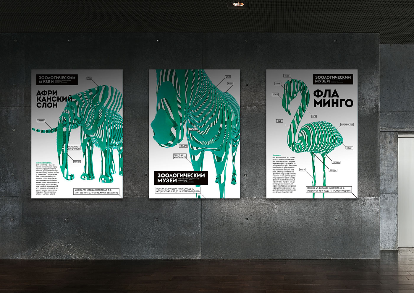zoological Museum zoology museum animals navigation poster design cutting turquoise schoolbook Moscow