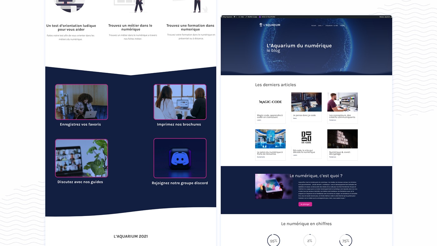 aquarium career digital Figma jellyfish UI UI/UX ux webapp Website