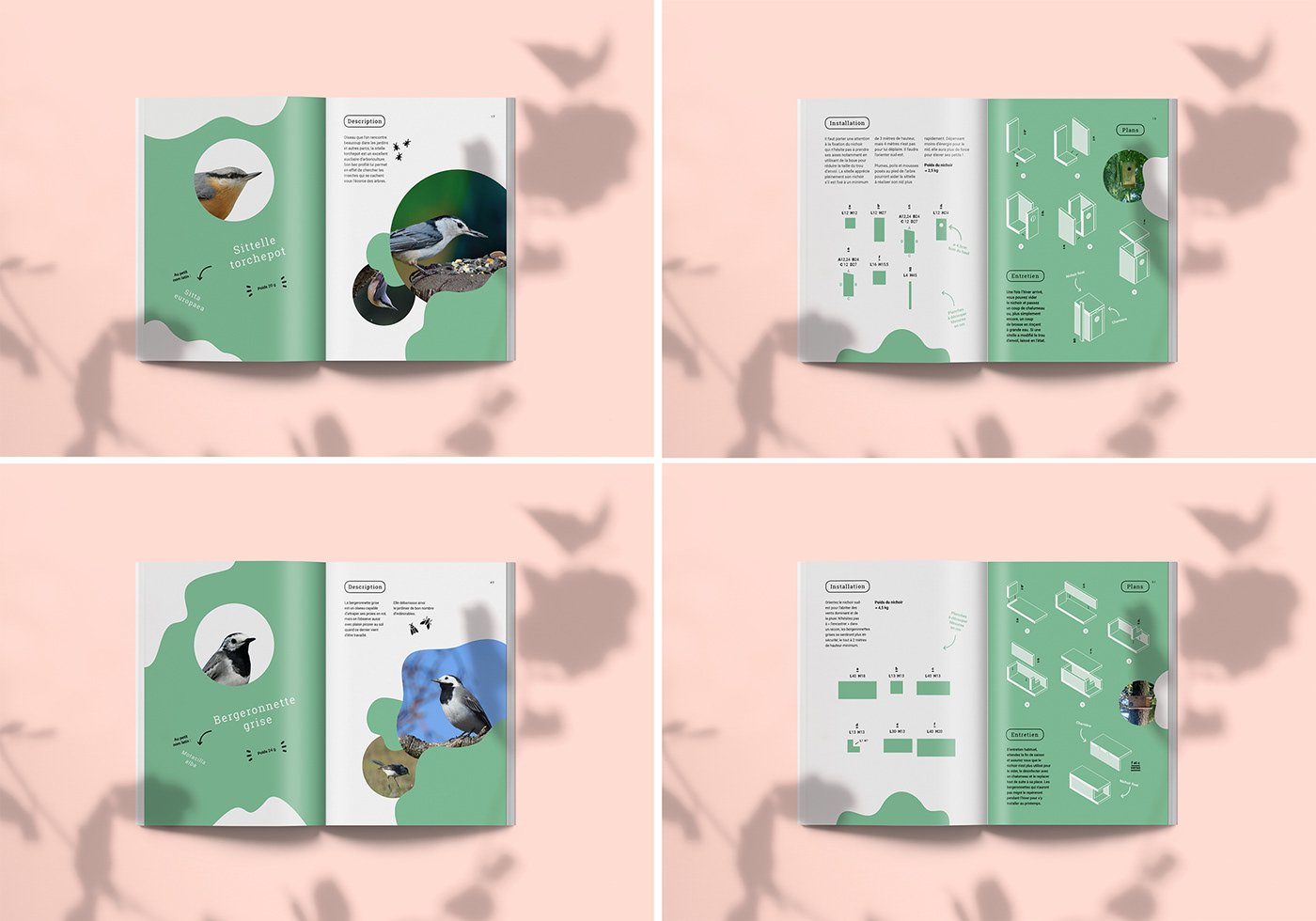 edition graphisme graphicdesign paper birds oiseaux livre book colors ILLUSTRATION 
