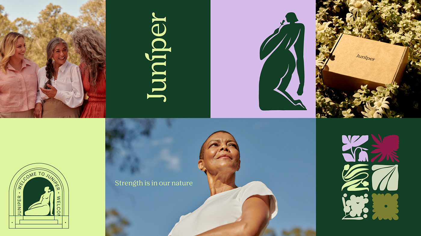 branding  design healthcare menopause Photography  women