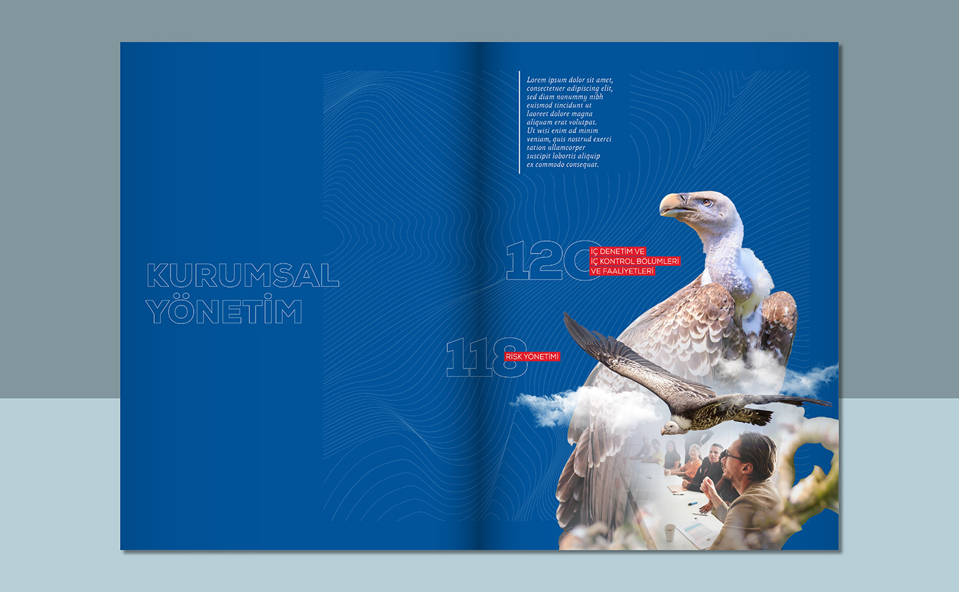 ANNUAL annual report book business corporate design editorial enerjisa Faaliyet Raporu report