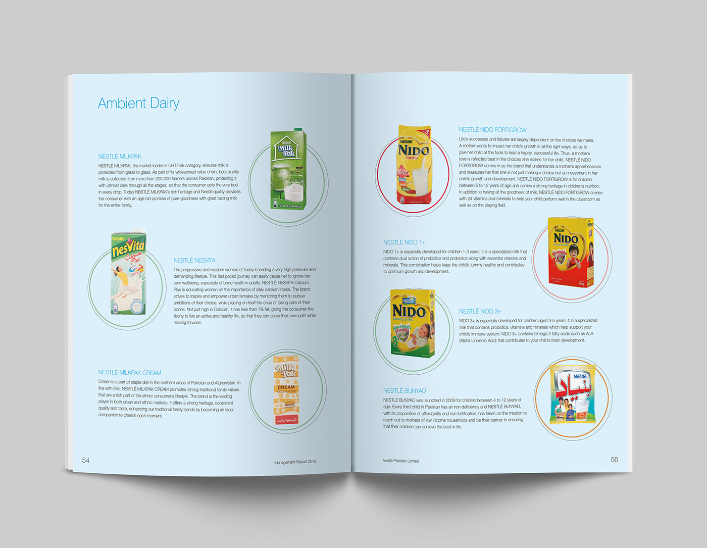 annual report Desktop Publising graphic design  book Photography  concept
