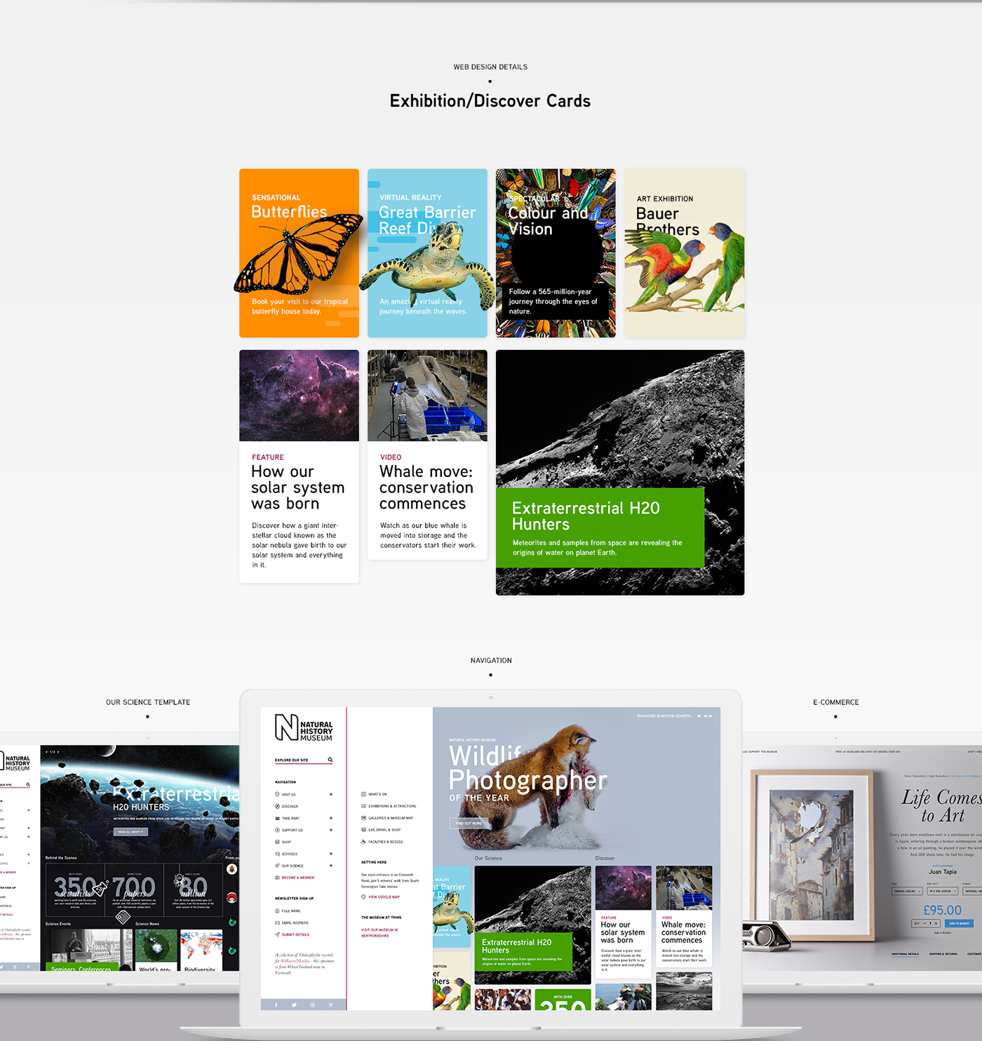 Website concept photoshop natural history museum Web Design  ios app clean minimalist Education