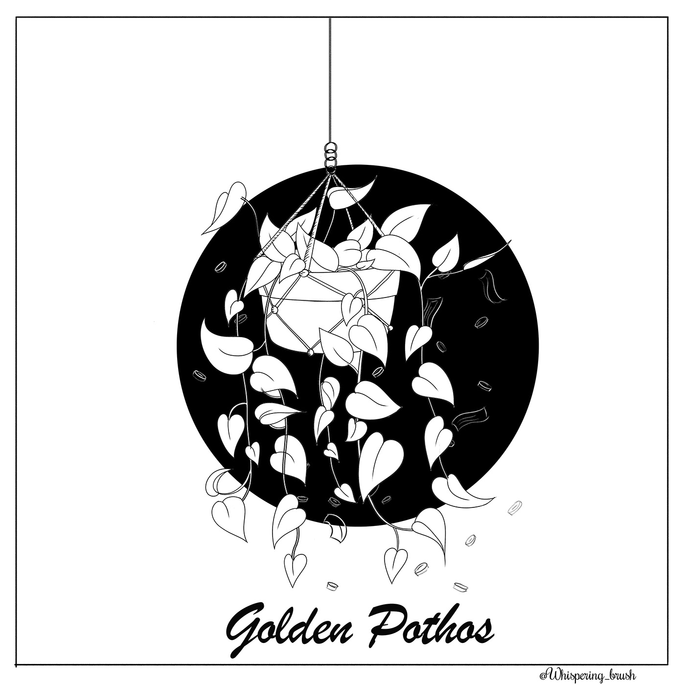 golden houseplants inking photoshop inktober Drawing  Digital Art  digitalinking goldenpothos pothos