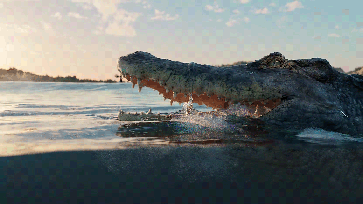 cinema 4d animation  Digital Art  houdini 3D motion design graphics water Liquid fluid