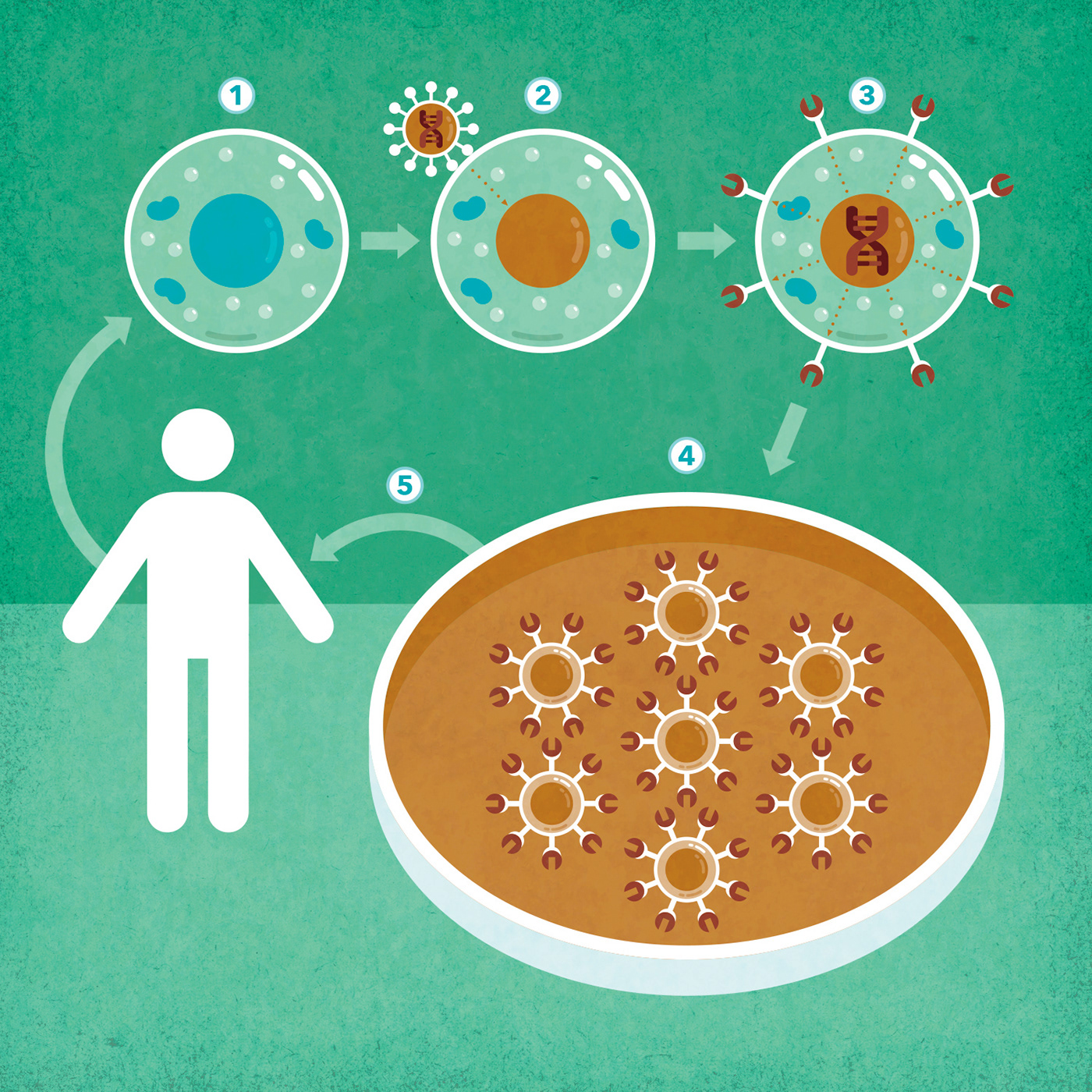 biotech cellular COVID-19 gene therapy health care infographic medicine microscopic mRNA vaccines