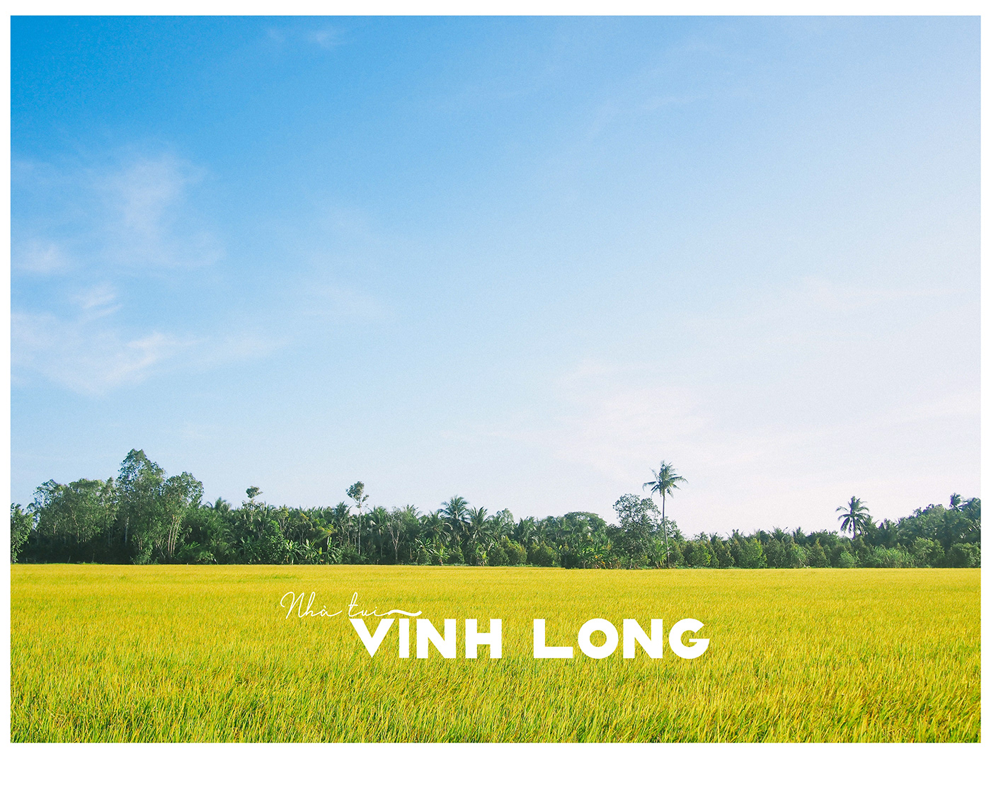 vietnam Photography  Nature Travel mekongdelta MIENTAY mekong mientaycogi SOUTHOFVIETNAM vinhlong