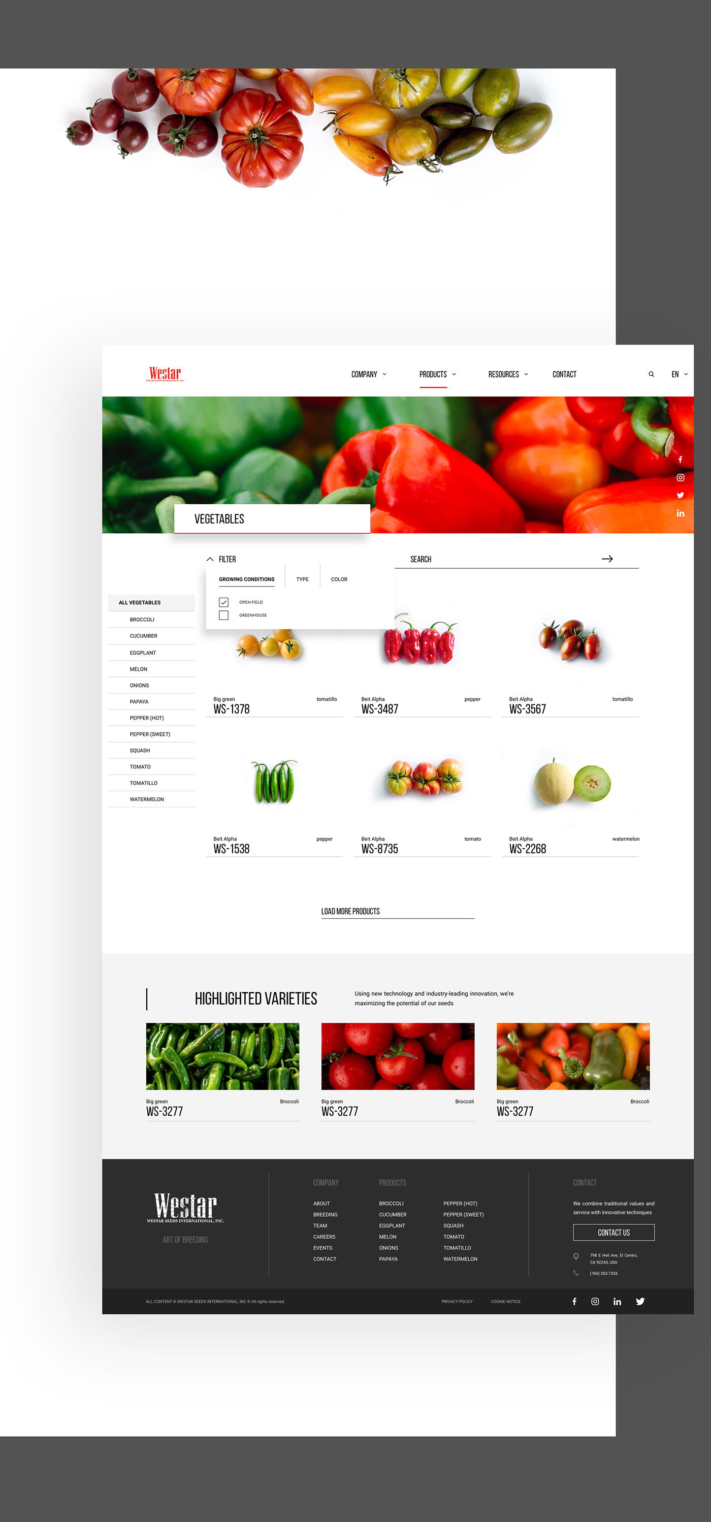 elegant interaction Interface interface design Minimalism modern UI/UX Website Website Design website designer