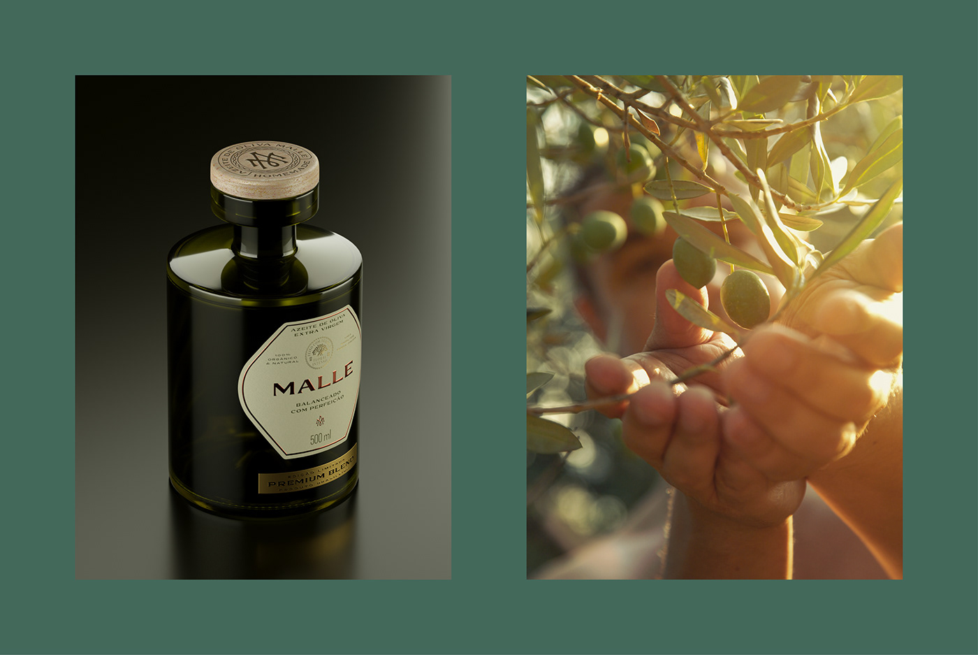 Olive Oil Packaging Label brand identity visual identity graphic design  branding  Logo Design package Photography 
