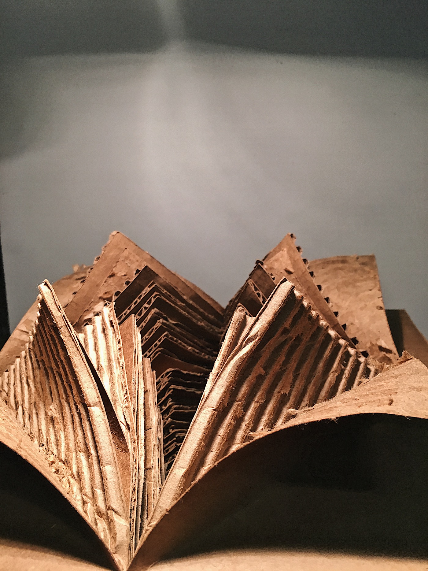 cardboard sculpture corrugated cardboard Cardboard sculpture texture burst